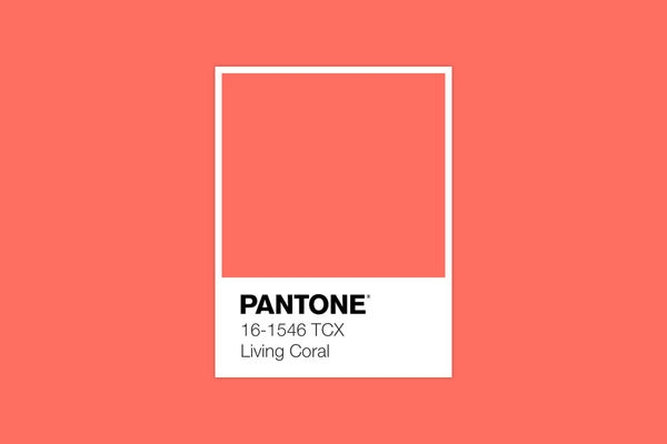 Couleur de l'année 2019