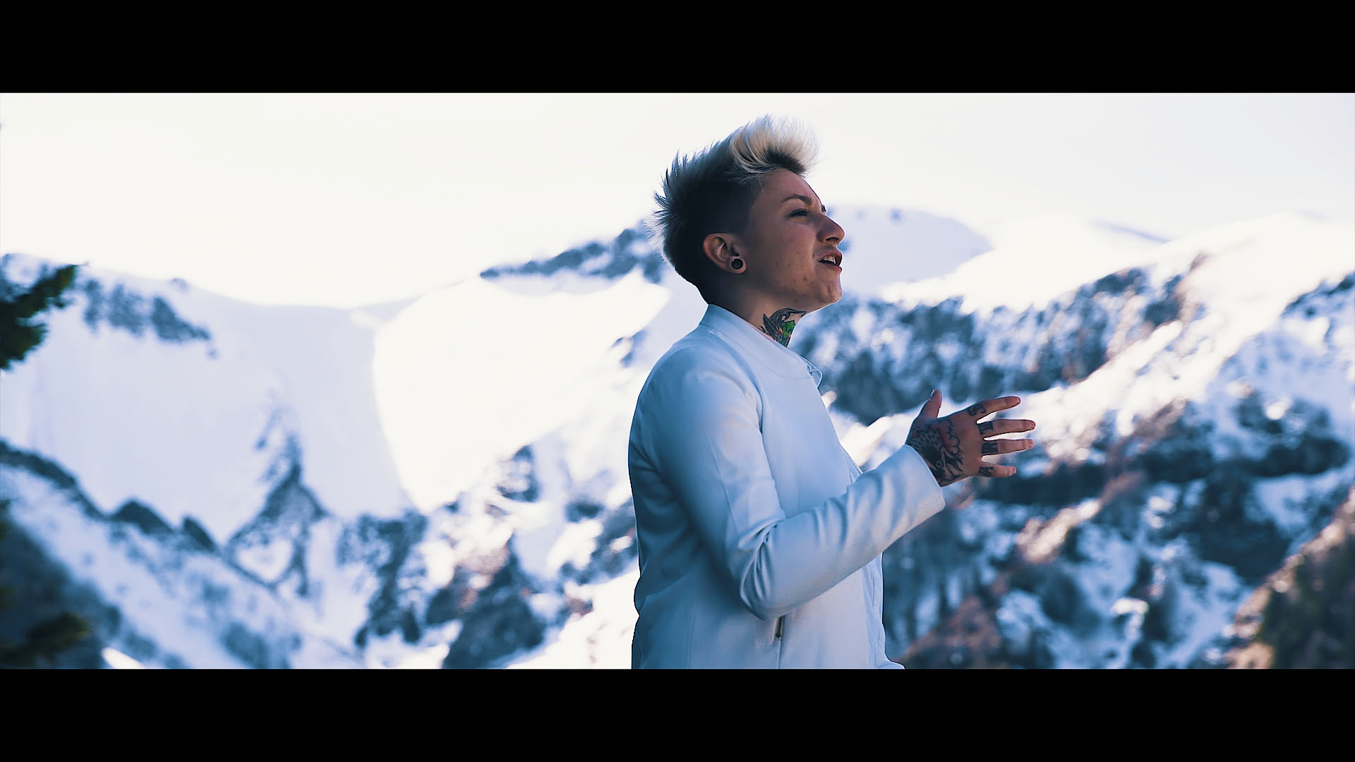 paysage montagnes clip